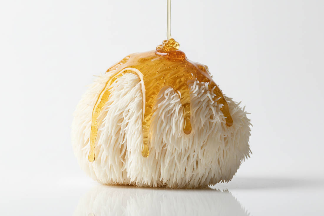 What is Lion's Mane? What are the benefits?