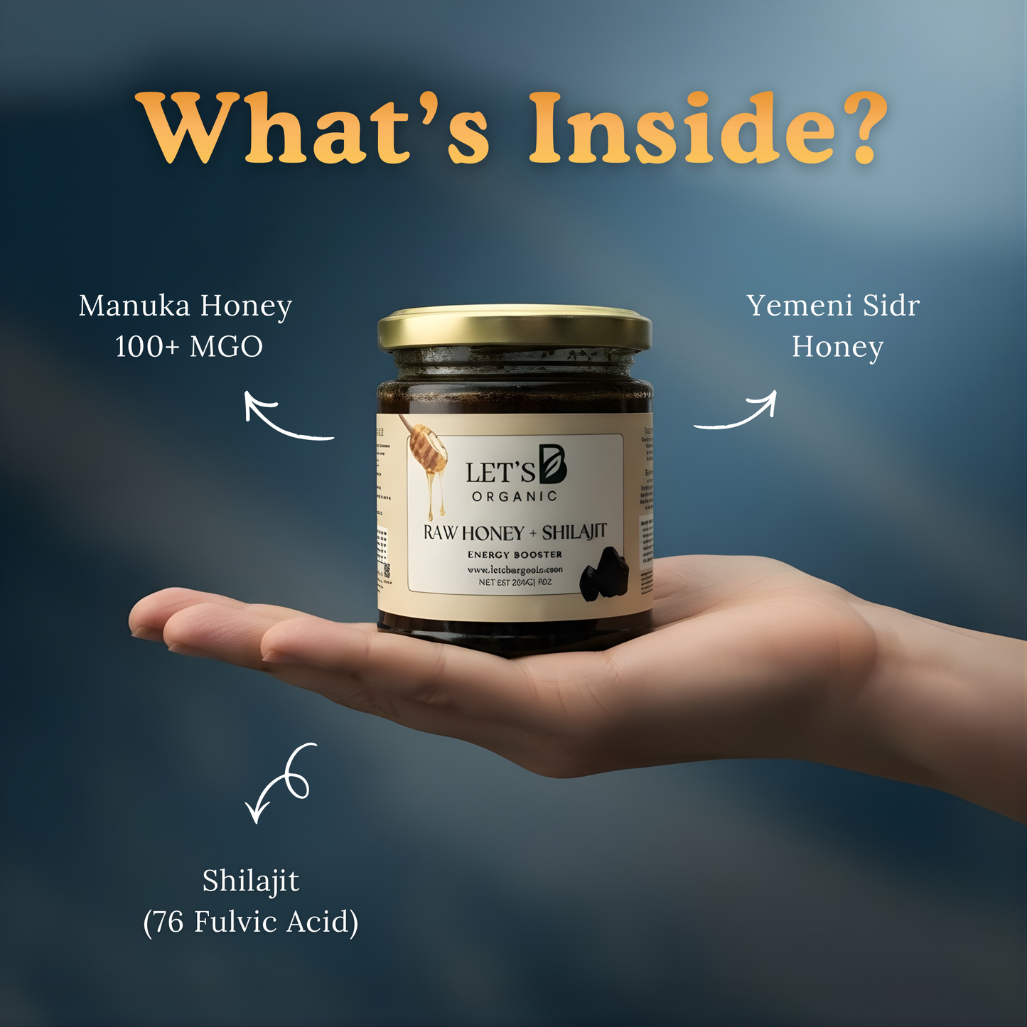 Shilajit-Honey Mix (Super Energy Booster)