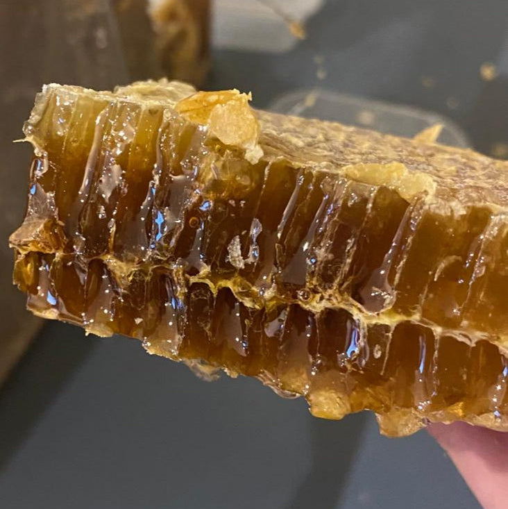 Organic Honeycomb